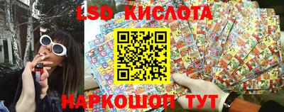 прущие крисы Кандалакша