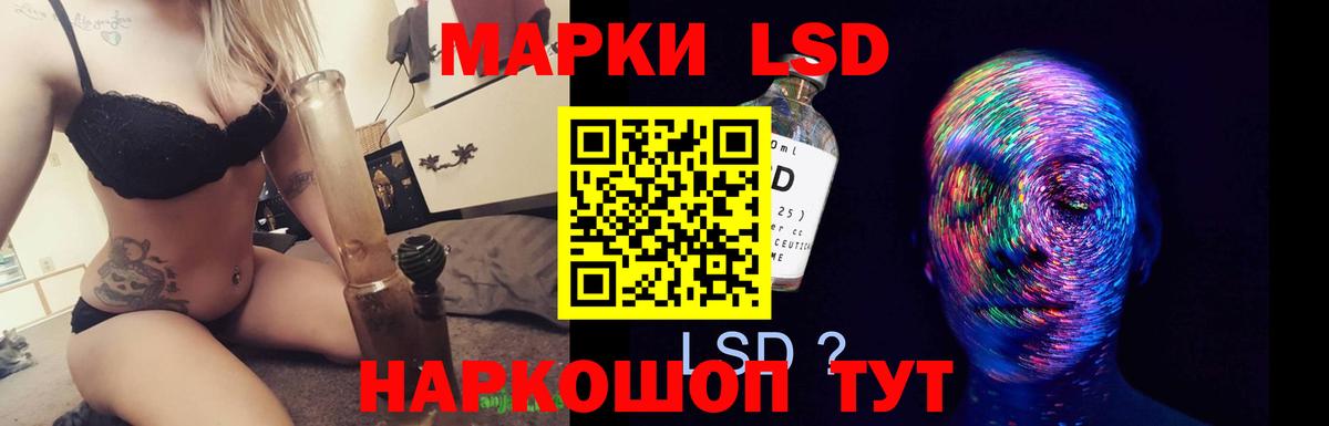 ЛСД экстази  Лсд 25 экстази ecstasy  Курчалой  hydra зеркало  Лсд 25 экстази кислота  Вход с VPN 