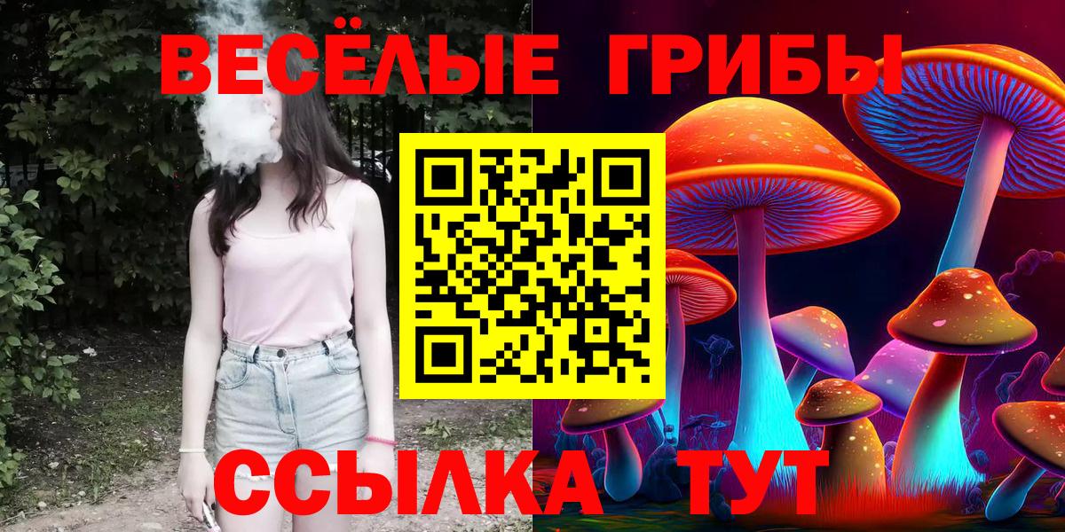 наркотики  Вход с VPN  Галлюциногенные грибы MAGIC MUSHROOMS  Курчалой  Псилоцибиновые грибы прущие грибы 