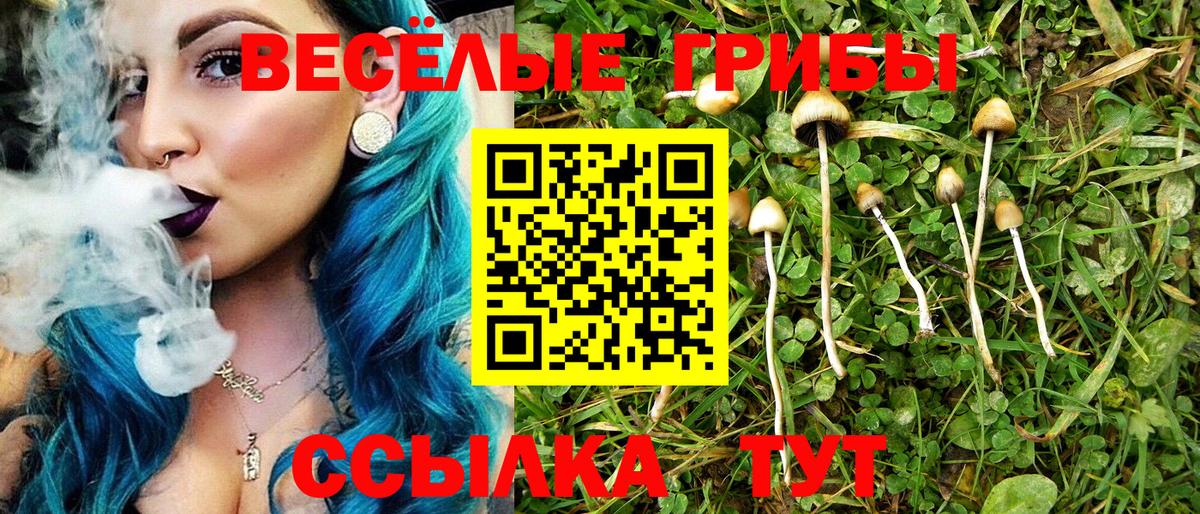 Галлюциногенные грибы GOLDEN TEACHER Курчалой