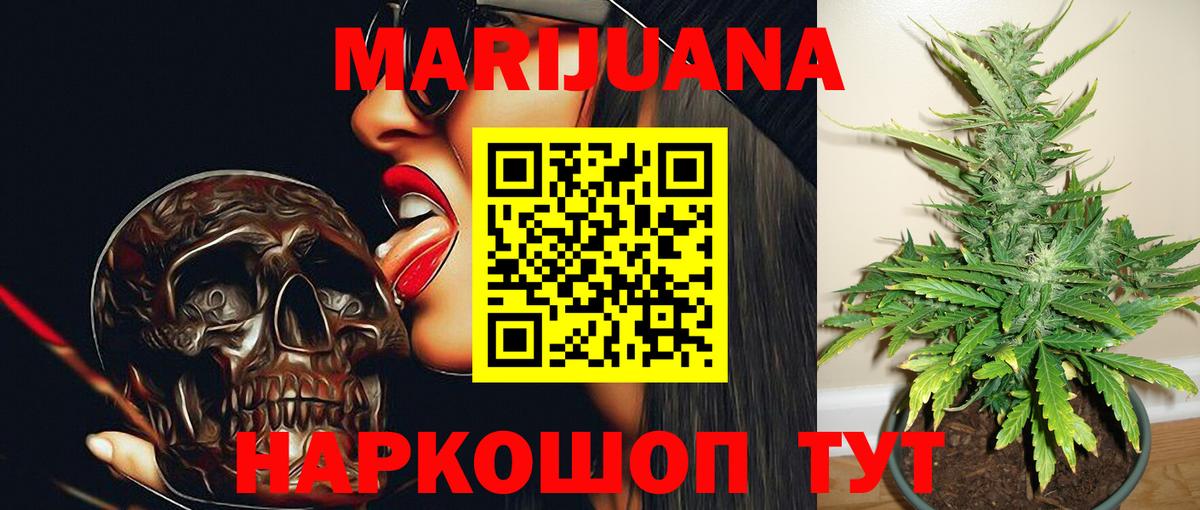 Марихуана сатива Курчалой